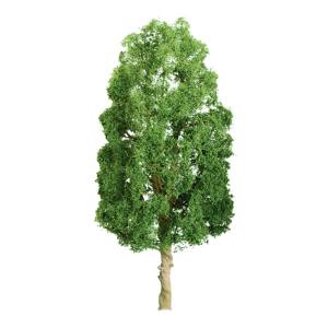 96107 jtt - Sycamore Tree 12"