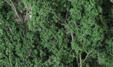 F1130 - Dark Green Fine-Leaf Foliage