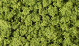 fc182 - Clump Foliage Medium Green / 3qt