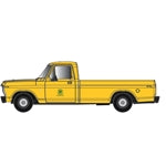 3002490 - O FORD F-100 PICKUP TRUCK SOUTHERN