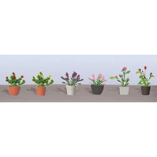 95566 jtt - O Assorted Potted Flower Plants (Pack of 6)