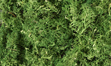 L163 - Lichen / Medium Green