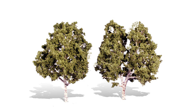 tr3536 - Classic Trees- Waters Edge - 5"- 6"